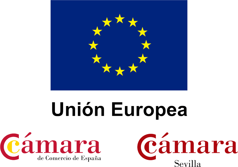 Unión Europea Cámara de Comercio de España y Cámara Sevilla